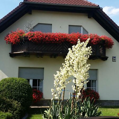 Studio Orchidee Weissig  Dış mekan fotoğraf